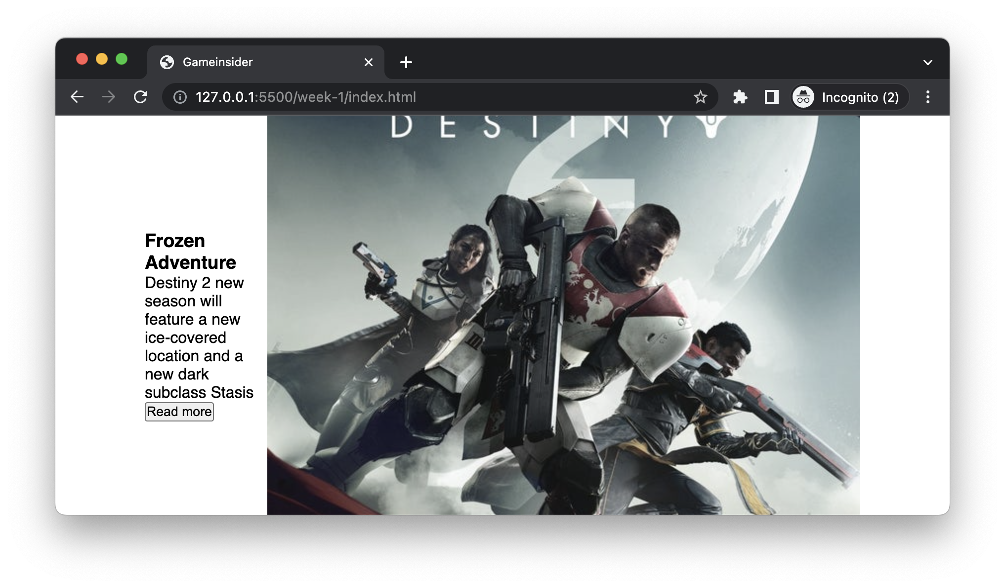 Flex Initial Attempt